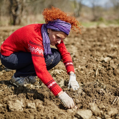 Дополнительные гарантии для женщин, работающих в сельской местности, внесены в ТК РФ