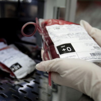 В организациях по заготовке и использованию донорской крови будет организована специальная система безопасности