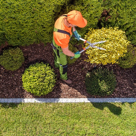 Можно ли за счет ОМС провести озеление территории медучреждения?