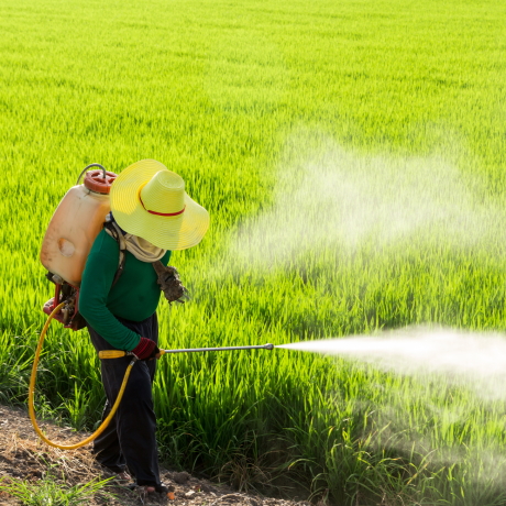 С 1 сентября 2024 года – новый чек-лист для госконтроля в сфере безопасного обращения с пестицидами