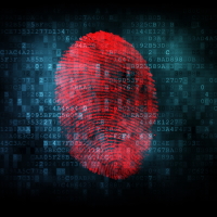 Кабмин утвердил план мероприятий концепции миграционной политики на 2024-2025 годы