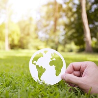 Прокуроры и органы Росприроднадзора могут получить право подавать иски о возмещении вреда окружающей среде по месту нахождения истца