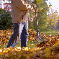 Земля у леса: убирать траву и мусор нужно с ранней весны до глубокой осени