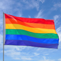 Запрет пропаганды гомосексуализма в свете судебной практики