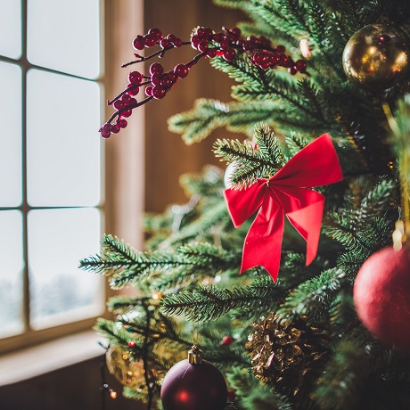 ��������� �� ������������ �������� 31 ������� � ����� ���� ������� �������� ����