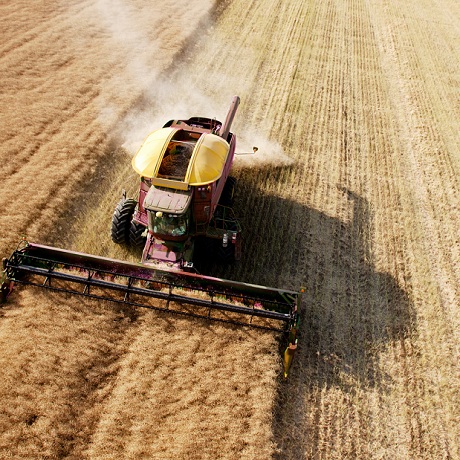 C����� �������� ��������� ��� �������� � ������ ������������ ���������