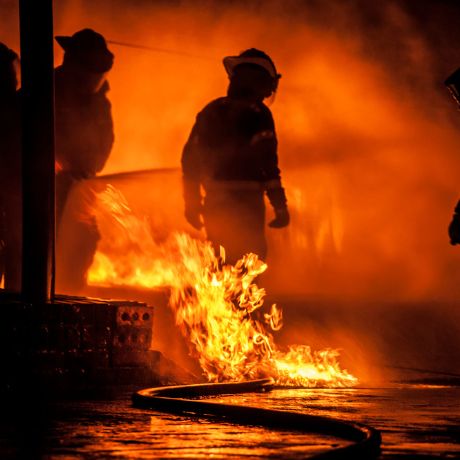 � ������� ������ ������������ � ������������ �� ���� ����� ��� �������� ����������