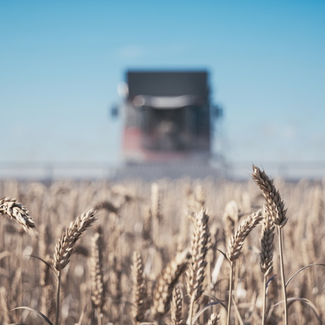 ������ �� ����� �� ������ ��������� ������� � ������������ ������� �� ����� 2025 ����