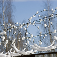 В России могут запретить превышать лимит числа заключенных в СИЗО