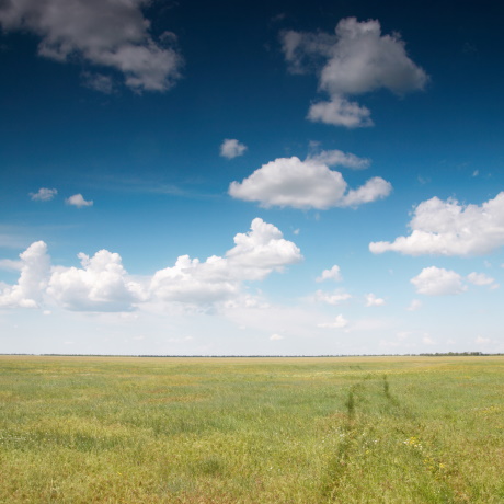 ��� ������������� ��������� ��������� �� ��������� ��������