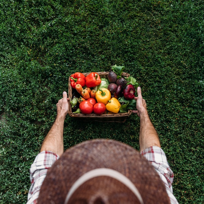 �������� ����� ������������������� ������������ � ������ ��������� ������� ��������������� ����� ���������