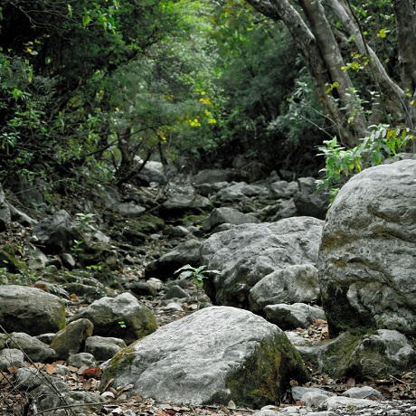 ������ ������� ����� ������������ � ������������� ����������� �� ��������� �������� ��������