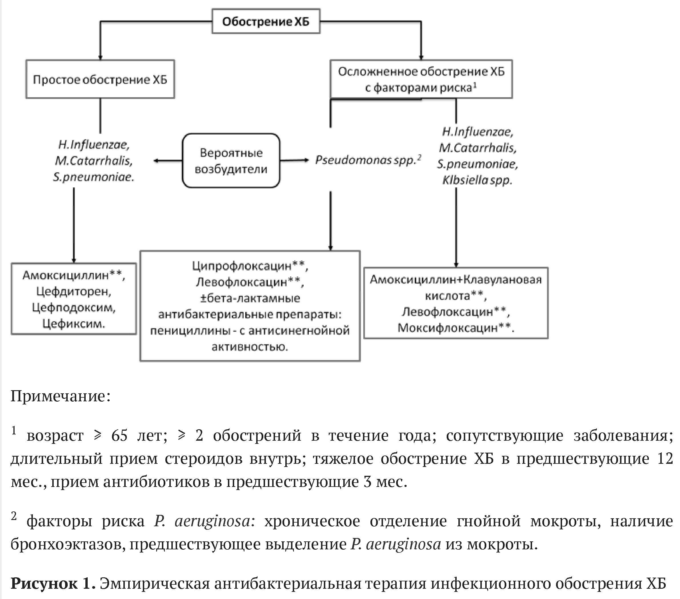 Бронхит - причины, симптомы и лечение острого и хронического бронхита