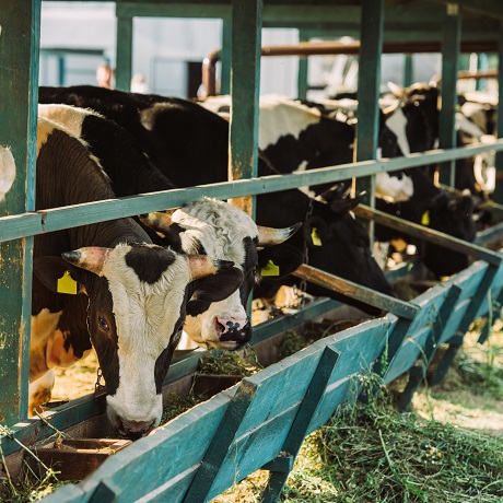 ������������ �������� ���� �������� ������ �� ��� ��� ���������������������