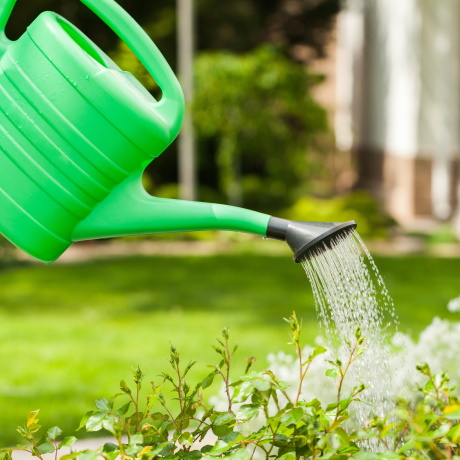 ��������������� ��� �� �������� ���� ��������� � ���� �� ���������