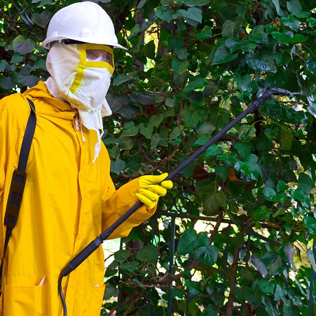 �� ��: ����������� ����� �������������, ������� ��������������� ���������� ����������� ����������