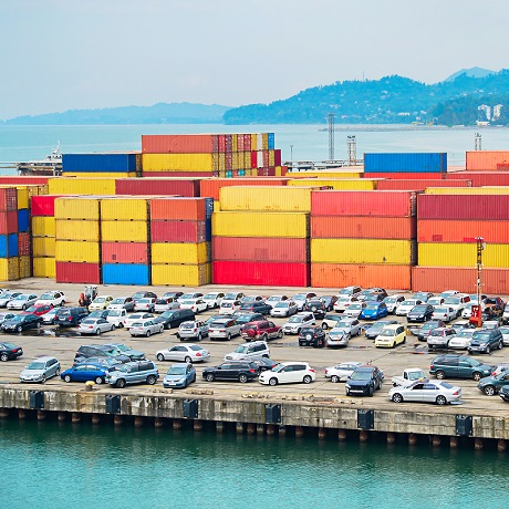 ������� �������������� ���� �� �������� �������� ������ �����������