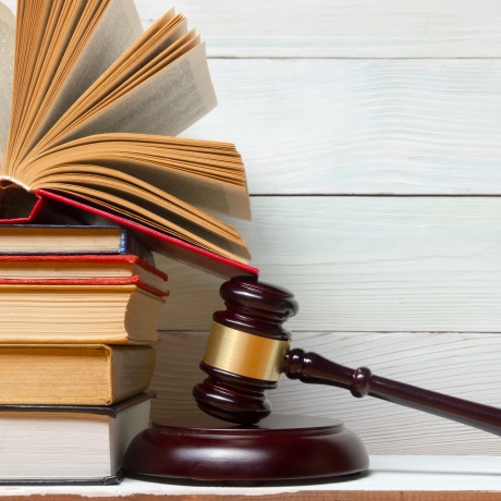 ������ �� �� �������� ����������� �� �������� ���������� ��. 238 �� ��