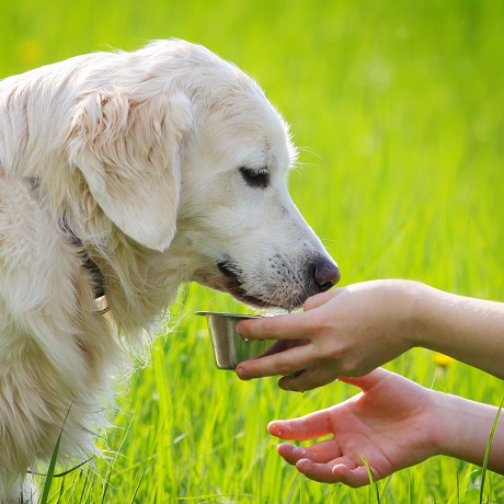 ��� �������� ������������� �������� �����