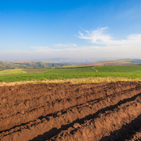 Административный штраф за нецелевое использование земель сельхозназначения будут рассчитывать в процентах от кадастровой стоимости