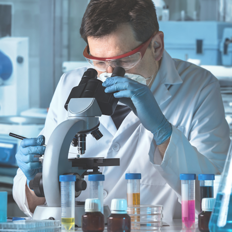 �������� ����������� ����� �� ���������-������������������� ������� ��������