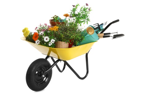 ������ �������: �� ����� ��������� ����� �������� ����� ��� �������� ����� �� 300 ���. ���. � 2025 ����