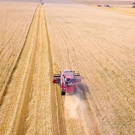 ���������� ���������� ������� ����� ��� ��� ���������� ����