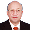 Владимир Плигин, Председатель комитета Госдумы по конституционному законодательству и государственному строительству
