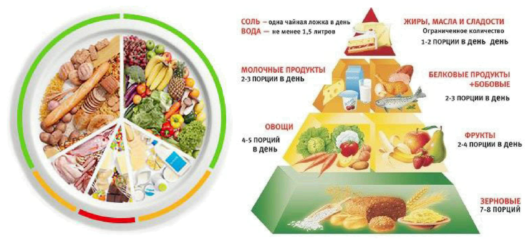 Какое питание должно быть при организованных. Пирамида питания белки жиры углеводы. Рацион здорового питания. Тарелка здорового питания. Пирамида здорового питания воз.