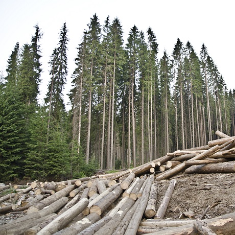 �� ��: ���������� ���������� ������ � ���������� ����������� ������������ �� ��������� ����������� �������� ����� �����, ���������� ���������