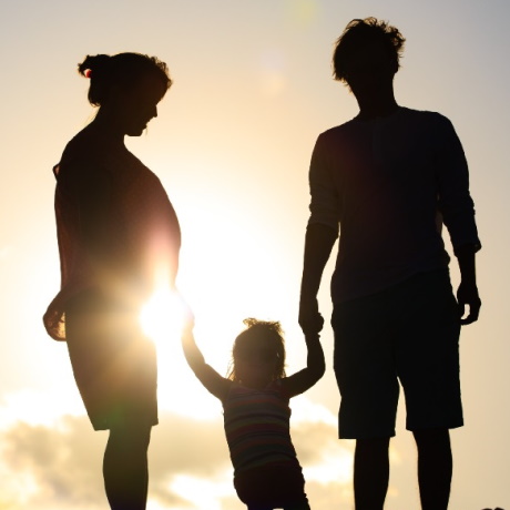 � ������ ���������� ������������ ������������ �����