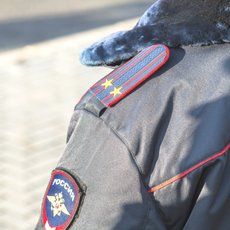 ���������� ������� �������������� � ��������� � 2024 ���� �� �����