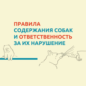 Какие требования обязаны соблюдать владельцы собак в Москве