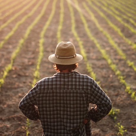 ��� ������ ���������� �� �������� ���������� ���������� ������ �� ���������� ������