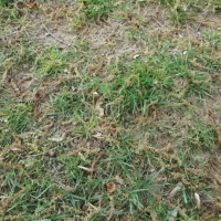 ���������������� �������� ������� �������������������� ��������, �� ������������ �� �������� ����������