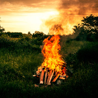 Установлен запрет на выжигание сухой травы на землях сельхозназначения и землях запаса