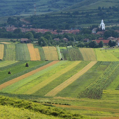 ���� �� ������� �� ���������� ����������� ���������, �� ��������� ���� �� ���������� ������ ����� ����� ����