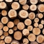 Скорректирован перечень индикаторов риска нарушения требований по надзору в сфере транспортировки и хранения древесины