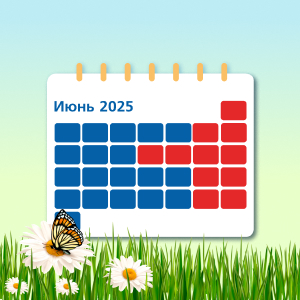 Инфографика