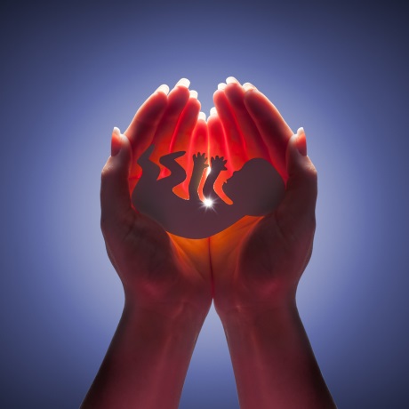 Частным клиникам могут запретить проводить аборты