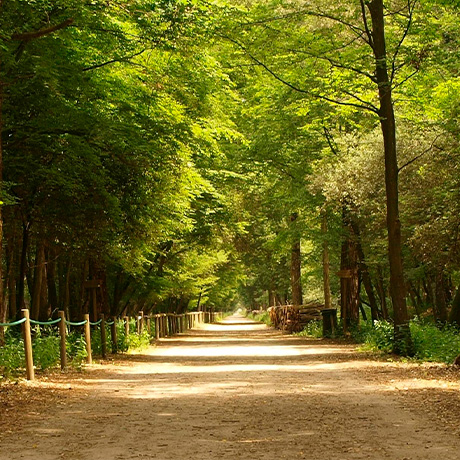 ������� ����������� � ������� ������ � ������������� ���� ��������