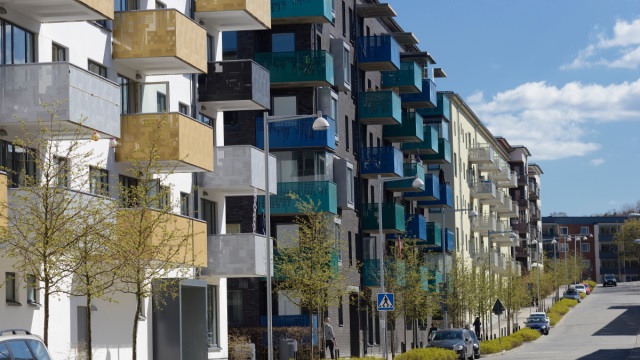 ���� ���� �������� ���������� ��� ��� �������� ��� ����� ������������� �� ���