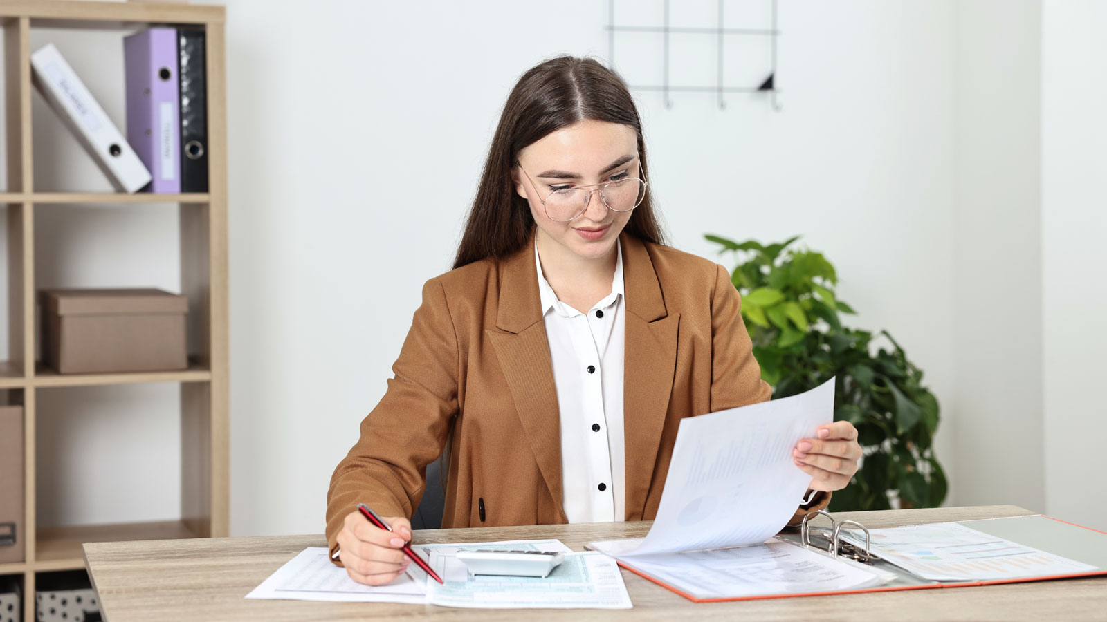 ������� �������� - 2026 ��� ��������� �����. ��������� � ����������