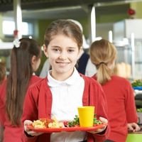 В Госдуму внесен законопроект о бесплатном горячем питании для учащихся 5 – 9 классов