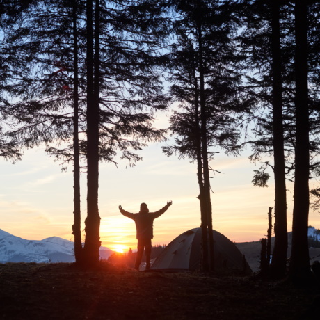 ������������ ����������� ������� ���������������� ������: ���������� �����