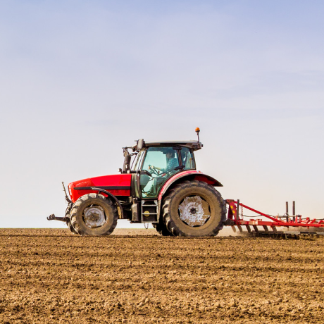 Ограничения на экспорт и импорт некоторых товаров продлили на два года