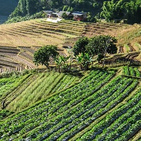 ��� ��������� ���� ������������ ������������� ������� ��������� ����� �� ���������� ������� �� ���������������