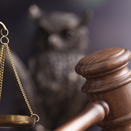 �� �� ��������, ���������� �� ������� ����������������� ���� ��� ����������� ���� �� ���������������� �������������� ���� �� �������� ����� �� ���������