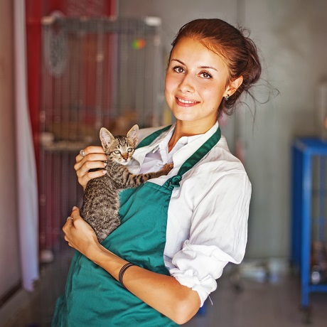 ��������, �������������� ��������� ��������, �� ������� ���������� �� ������� �������������