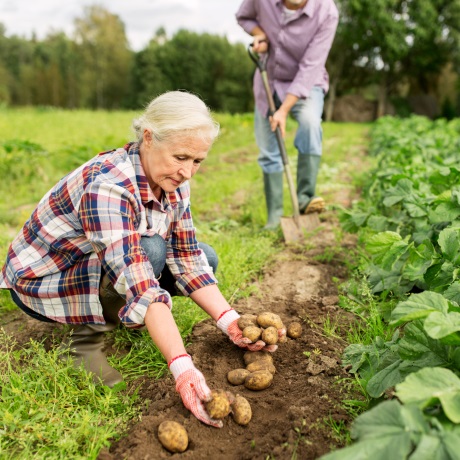 �������� ������ ��������� �������, ������� ����� �� �������������� �������� � ������